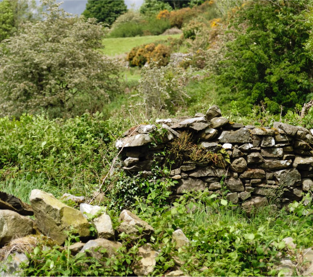 Old Irish dry stone wall