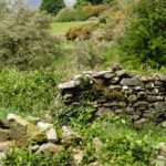 Old Irish dry stone wall